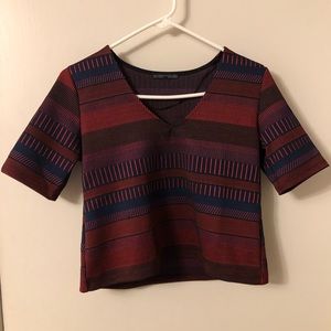 Zara Trafaluc Collection Cropped V-Neck Tee